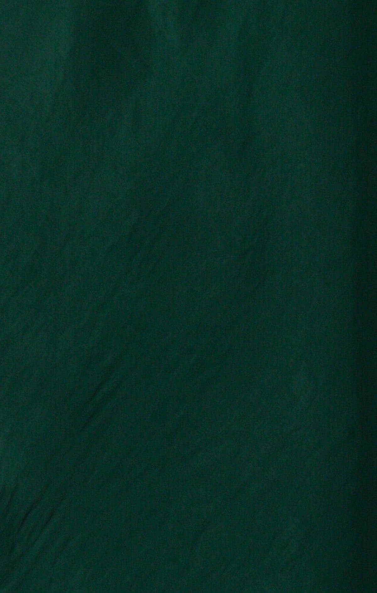 Luxe Pleated Trouser In Emerald by Sacha Drake - image 9