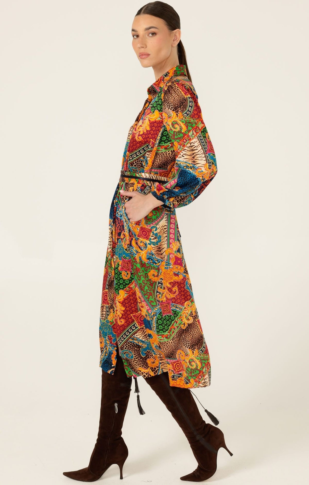 Eudora Shirtmaker Dress by Sacha Drake - image 7